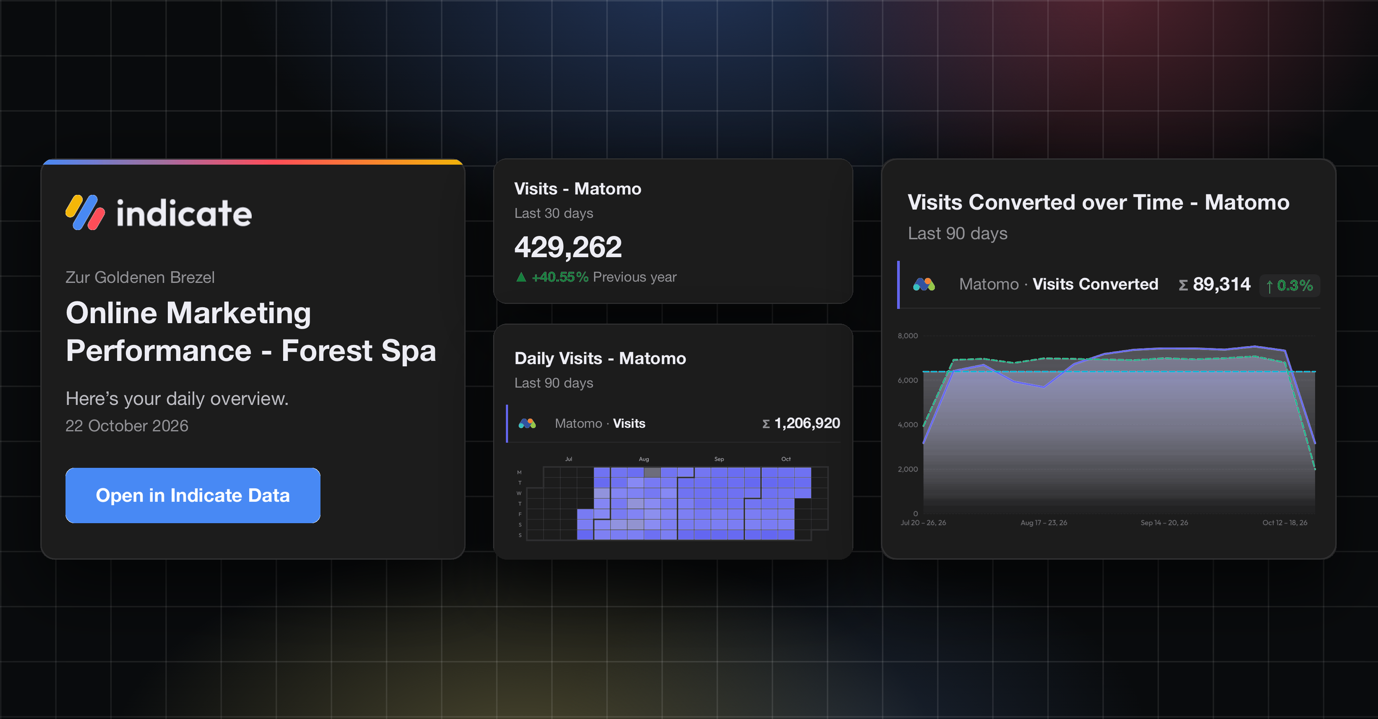 Indicate daily overview for Forest Spa with Matomo visits, daily visits heatmap and visits converted charts